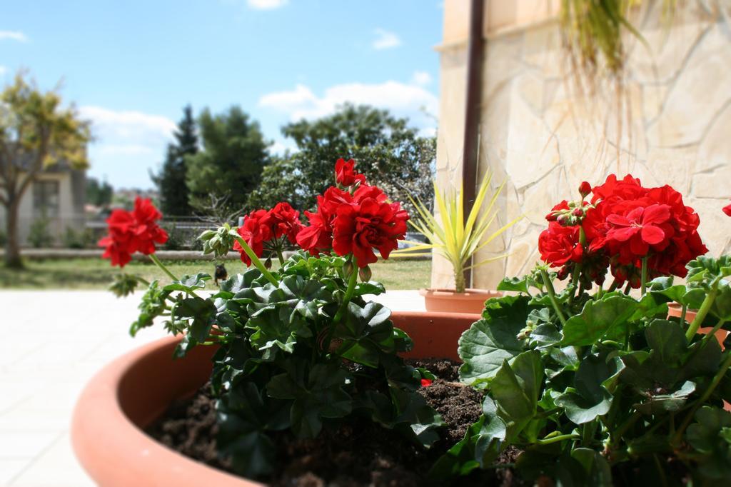 Villa Mara B&B Noto Eksteriør billede