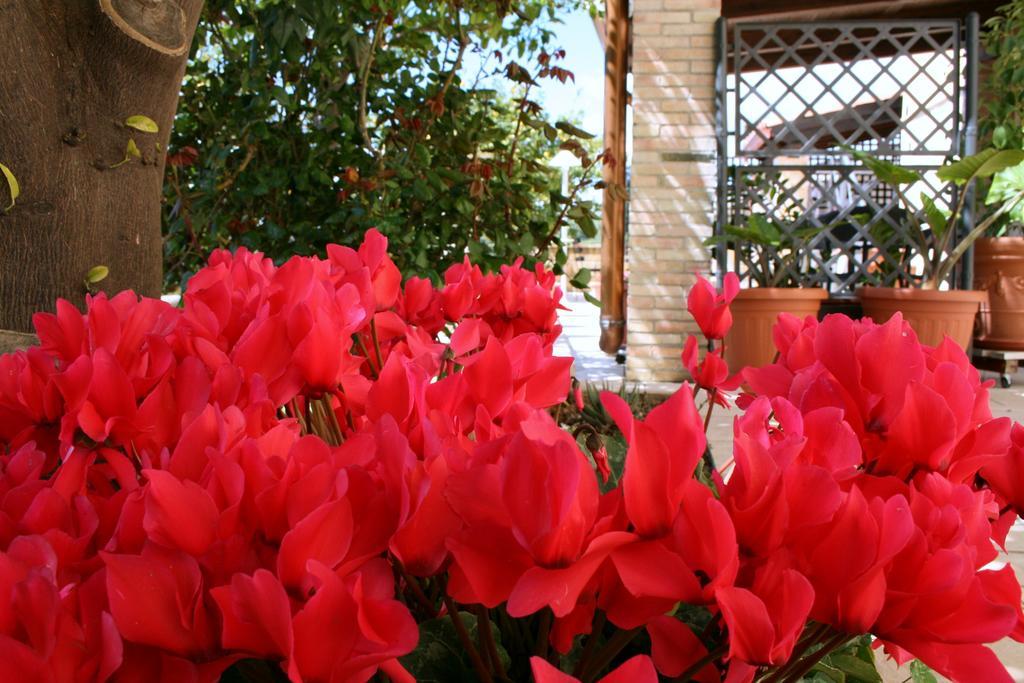 Villa Mara B&B Noto Eksteriør billede