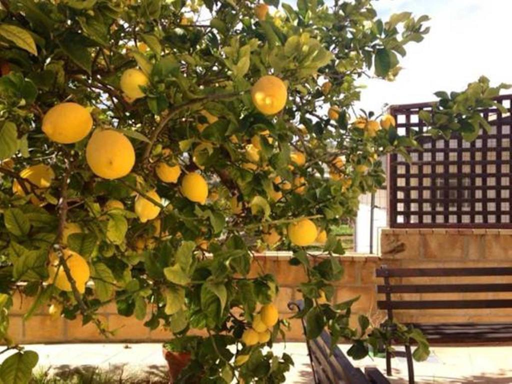 Villa Mara B&B Noto Eksteriør billede